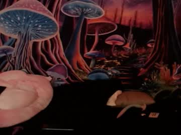 See Alyssaarcane online Now @ roxpoxy.com