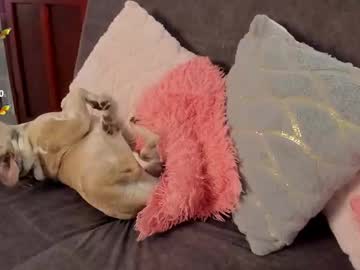 See Haileebeer_ online Now @ roxpoxy.com