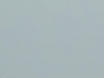 See Hooperdarly_1 online Now @ roxpoxy.com